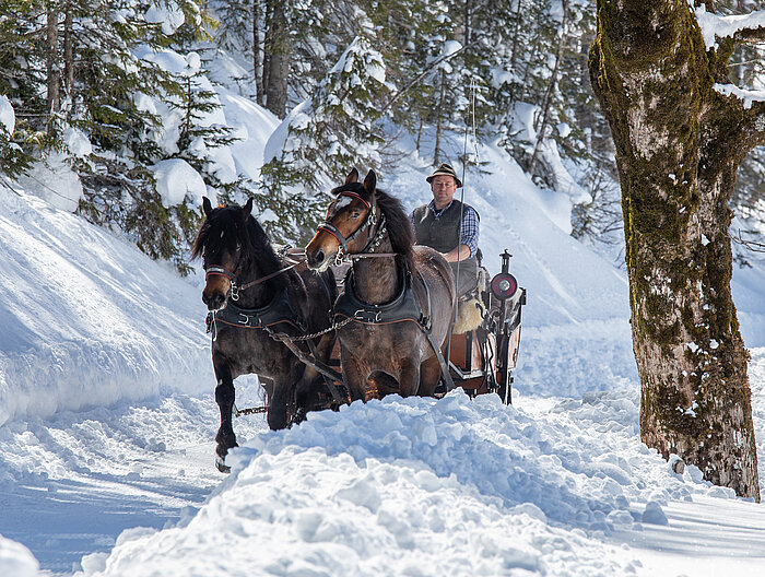 Mehrere Personen fahren mit einem Pferdeschlitten über die winterliche Landschaft