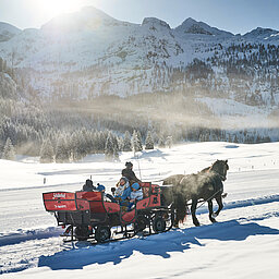 Mehrere Personen fahren mit einem Pferdeschlitten über die winterliche Landschaft