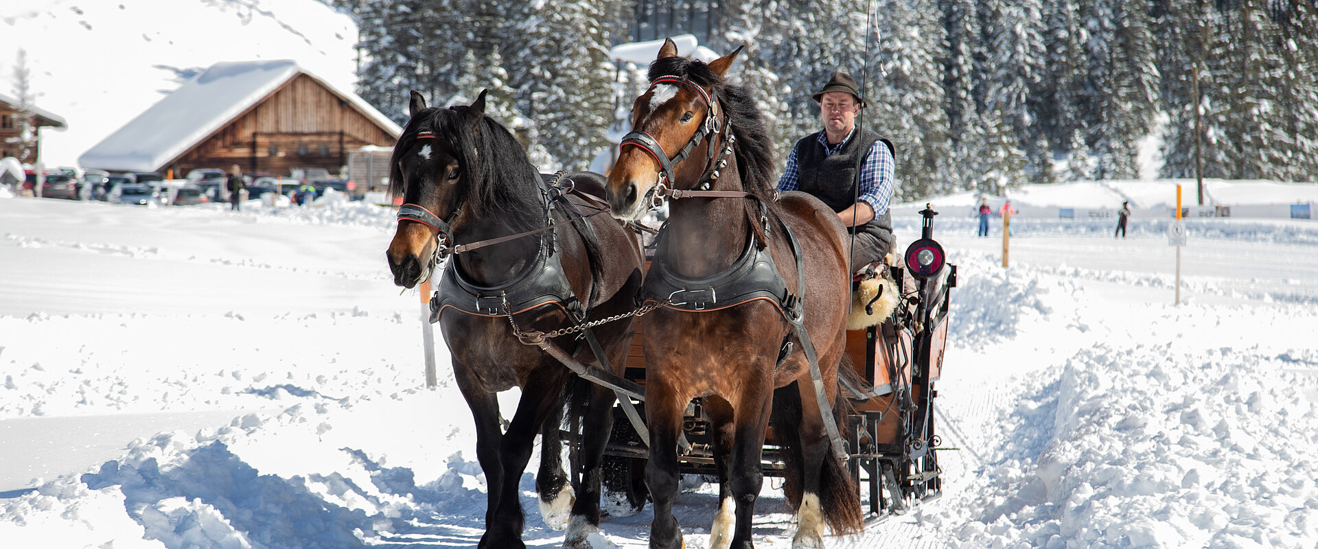 Pferdeschlittenfahrt durch verschneite Winterlandschaft mit mehreren Personen