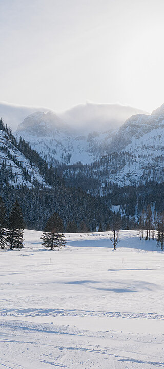 Eine winterliche Landschaft mit einem Pferdeschlitten von der Gnadenalm