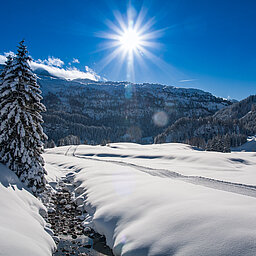 Eine winterliche Landschaft mit einem Bach und Bäumen in Obertauern
