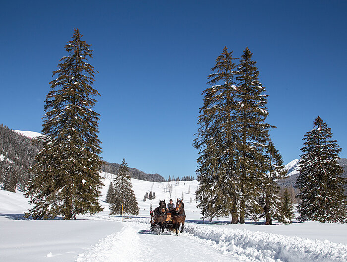 Mehrere Personen fahren mit einem Pferdeschlitten über die winterliche Landschaft