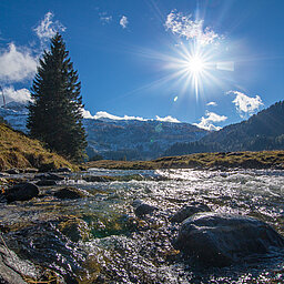 sommerliche Landschaft mit einem Bach in Obertauern