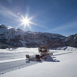 Eine Pistenraupe die die Loipe der Gnadenalm präperiert